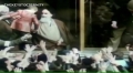 Legacy of Imam Khomeini within 5 Minutes - Arabic sub English