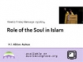[Weekly Msg] The Role of the Soul in Islam | H.I. Abbas Ayleya | 28 March 2014 | English
