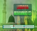Labbayka Muhammad (S) Labbayk | Nasheed | Arabic sub English