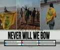 NEVER WILL WE BOW | Al-Nujaba Nasheed | Arabic sub English
