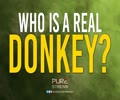 WHO IS A REAL DONKEY? | Farsi Sub English