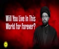 Will You Live In This World For Forever? | CubeSync | English