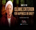 What Is The Islamic Criterion For Happiness or Grief? | Ayatollah Misbah-Yazdi | Farsi Sub English