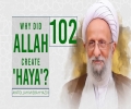  [102] Why Did Allah Create 'Haya'? | Ayatollah Misbah-Yazdi | Farsi Sub English