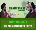  Muslim Unity on the Community Level | IP Talk Show | English