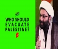 WHO SHOULD EVACUATE PALESTINE? | #shorts #status #reels | English