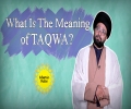 What Is The Meaning of TAQWA? | One Minute Wisdom | English