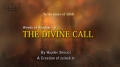 THE DIVINE CALL - H.I. Hayder Shirazi - English