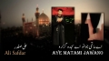 [HQ] Aye Matami Jawano - Ali Safdar Noha 1434/2013 - Urdu sub English