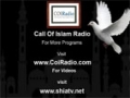 23 Islamic Economy by Hujjatul islam Mohammed Khalfan - Call of Islam Radio - English