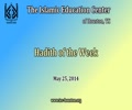 Hadith of the Week - H.I. Shamshad Haider - 25 May 2014 - English