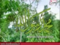 There is No God But Allah | Canticle | [ ARABIC - ENG SUB ]
